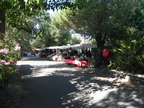 Camping foto